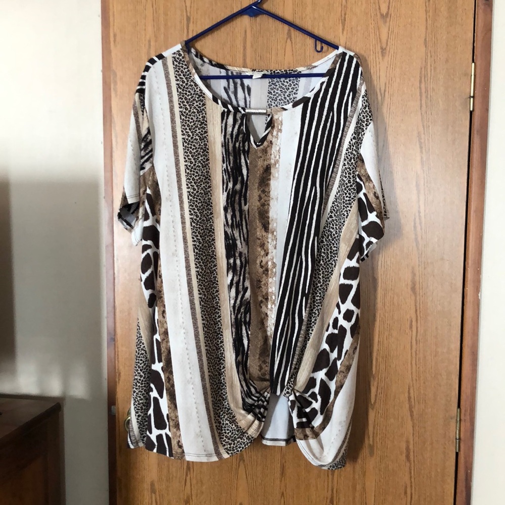 Cato brand animal print blouse.This was one of my favorites. Smoke and pet free.